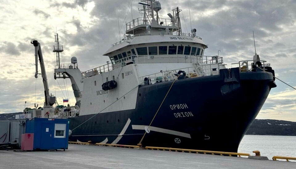 The Russian-designed vessel Orion (Орион) moored at a northern quay
